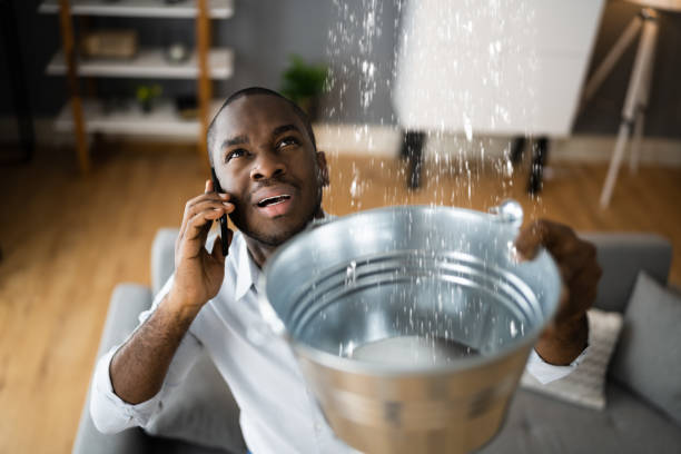 Best Water damage restoration services  in Georgetown, CO