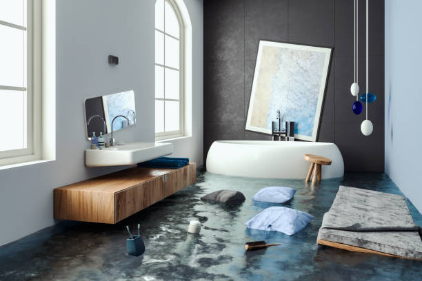 Best Professional water damage repair  in Georgetown, CO