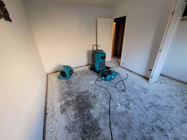 Best Sewage cleanup and water damage restoration  in Georgetown, CO