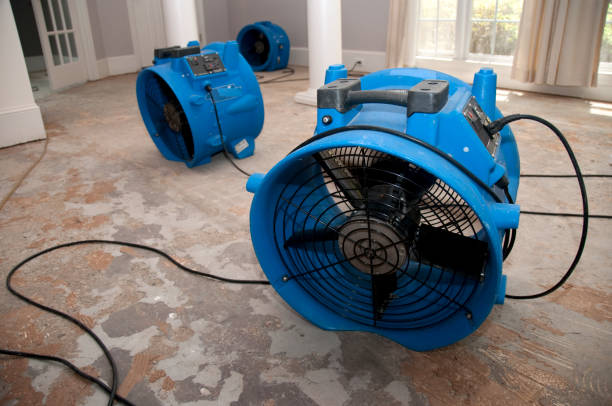 Best Flood damage cleanup  in Georgetown, CO