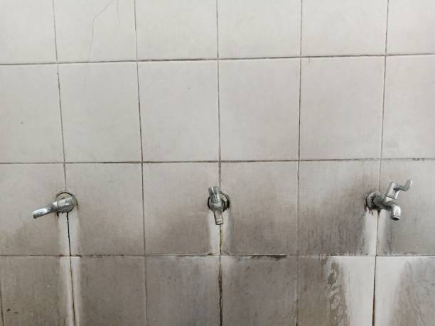 Best Local water damage restoration  in Georgetown, CO