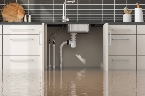 Best 24-hour water damage restoration  in Georgetown, CO