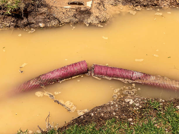  Georgetown, CO Water damage restoration Pros
